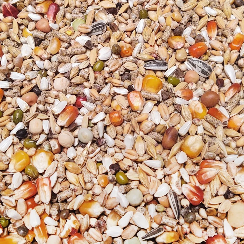 Vanrobaeys Nr.49 Sport Junior Pro - Revolution 20kg 3 Vanrobaeys Nr.49 Sport Junior Pro - Revolution 20kg