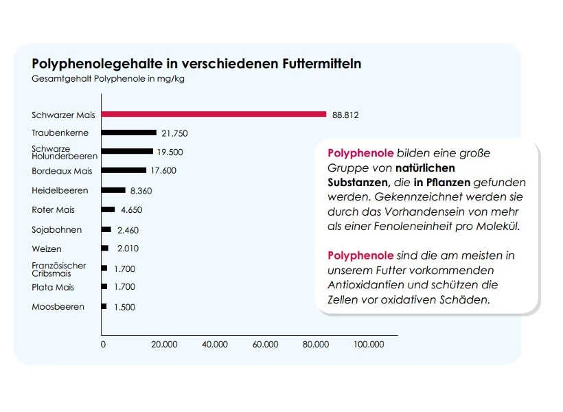 Versele Master Black 20kg 5 Versele Master Black 20kg – Bild 3
