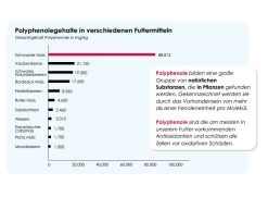 Versele Start Plus I.C.⁺ 20kg -Vogelbedarf Geschäft antioxidantien 19