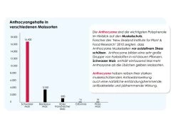 Versele Master R Exclusiv 20kg -Vogelbedarf Geschäft antioxidantien 22