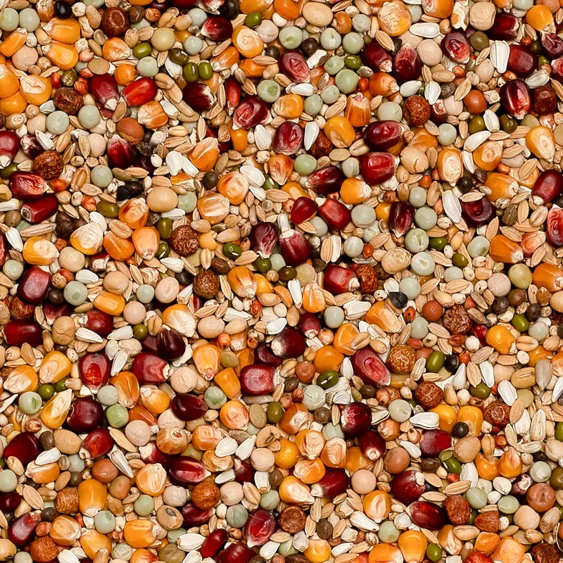 Beyers Premium Jelle Jellema 20kg 3 Beyers Premium Jelle Jellema 20kg