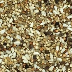 Beyers 24 - Superdiät 25kg