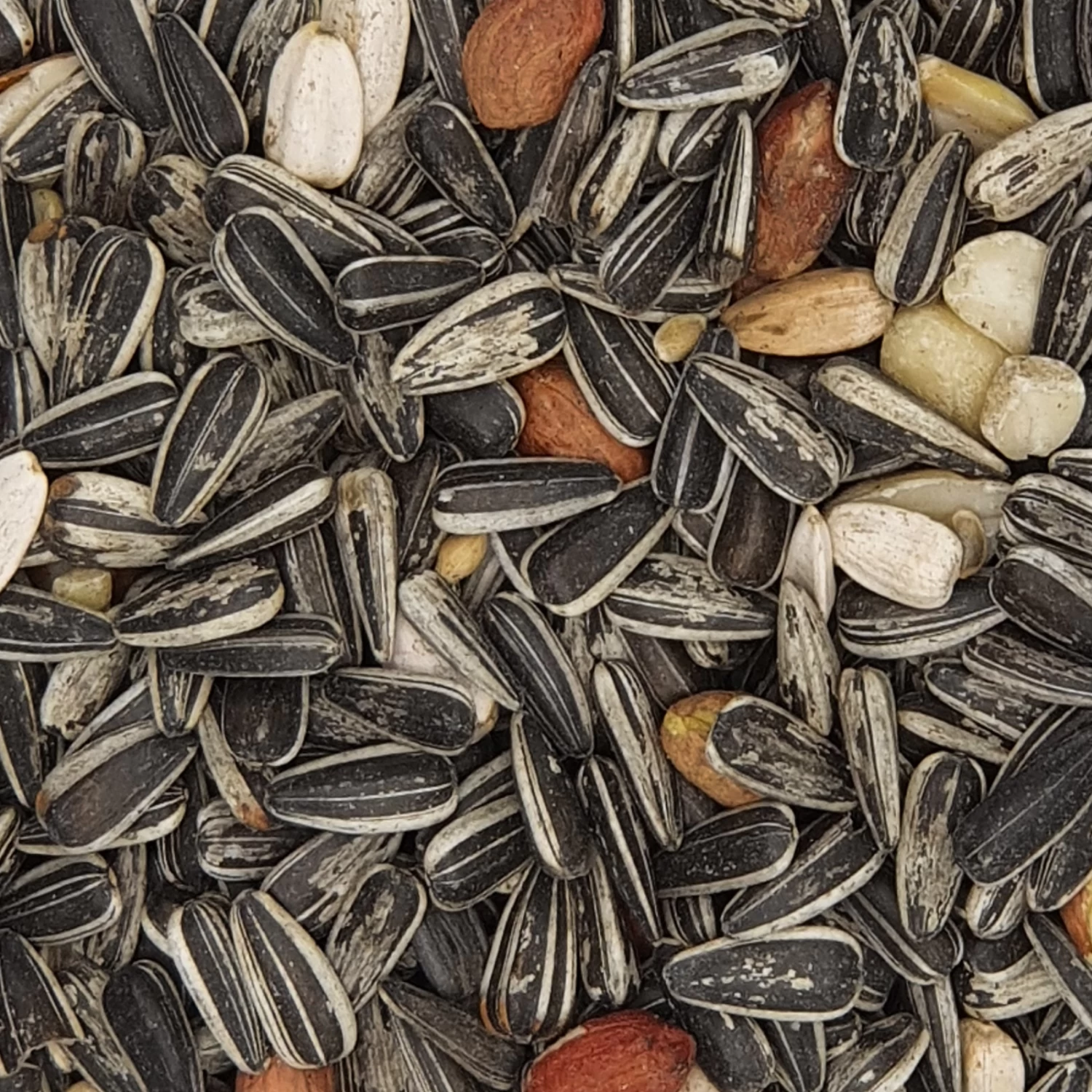 Gevo Meisenfutter Premium 25kg 3 Gevo Meisenfutter Premium 25kg