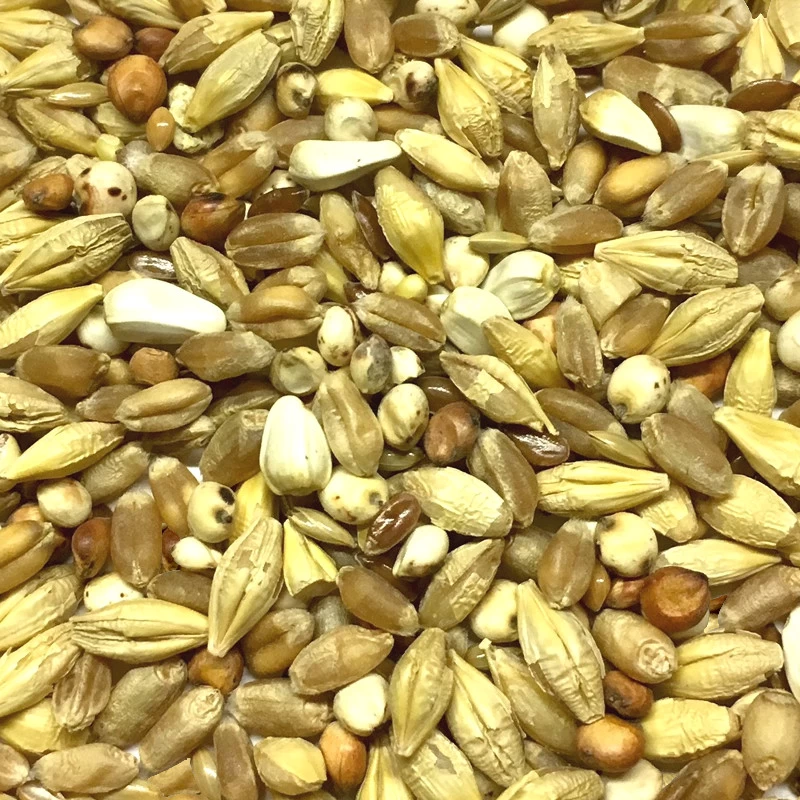 Gladen Säuberung 25kg 3 Gladen Säuberung 25kg