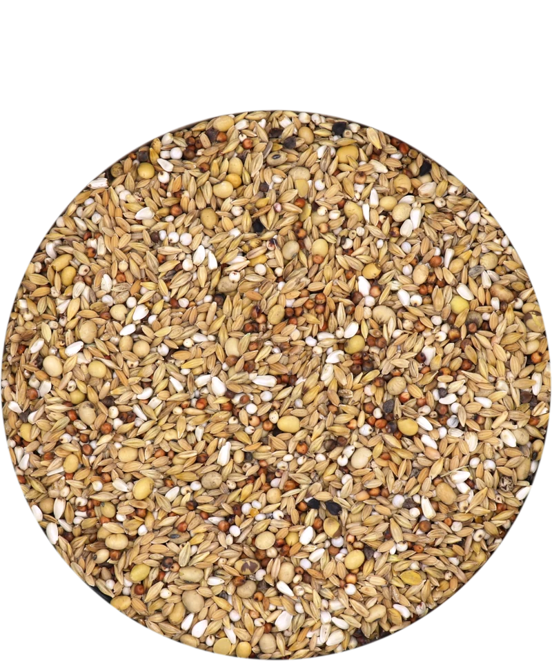 Versele Hirn 1 20kg 3 Versele Hirn 1 20kg