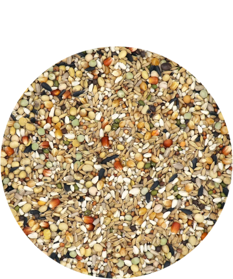 Versele Hirn 2 20kg 3 Versele Hirn 2 20kg