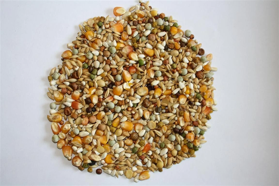 Versele Junior Plus I.C.⁺ 20kg 3 Versele Junior Plus I.C.⁺ 20kg