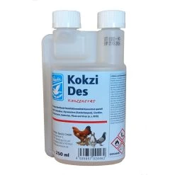 Backs Kokzi Des Konzentrat 250ml