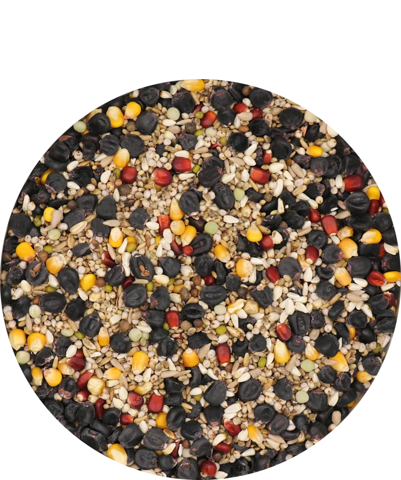 Versele Master Black 20kg 3 Versele Master Black 20kg