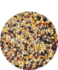 Versele Master Witwer 20kg