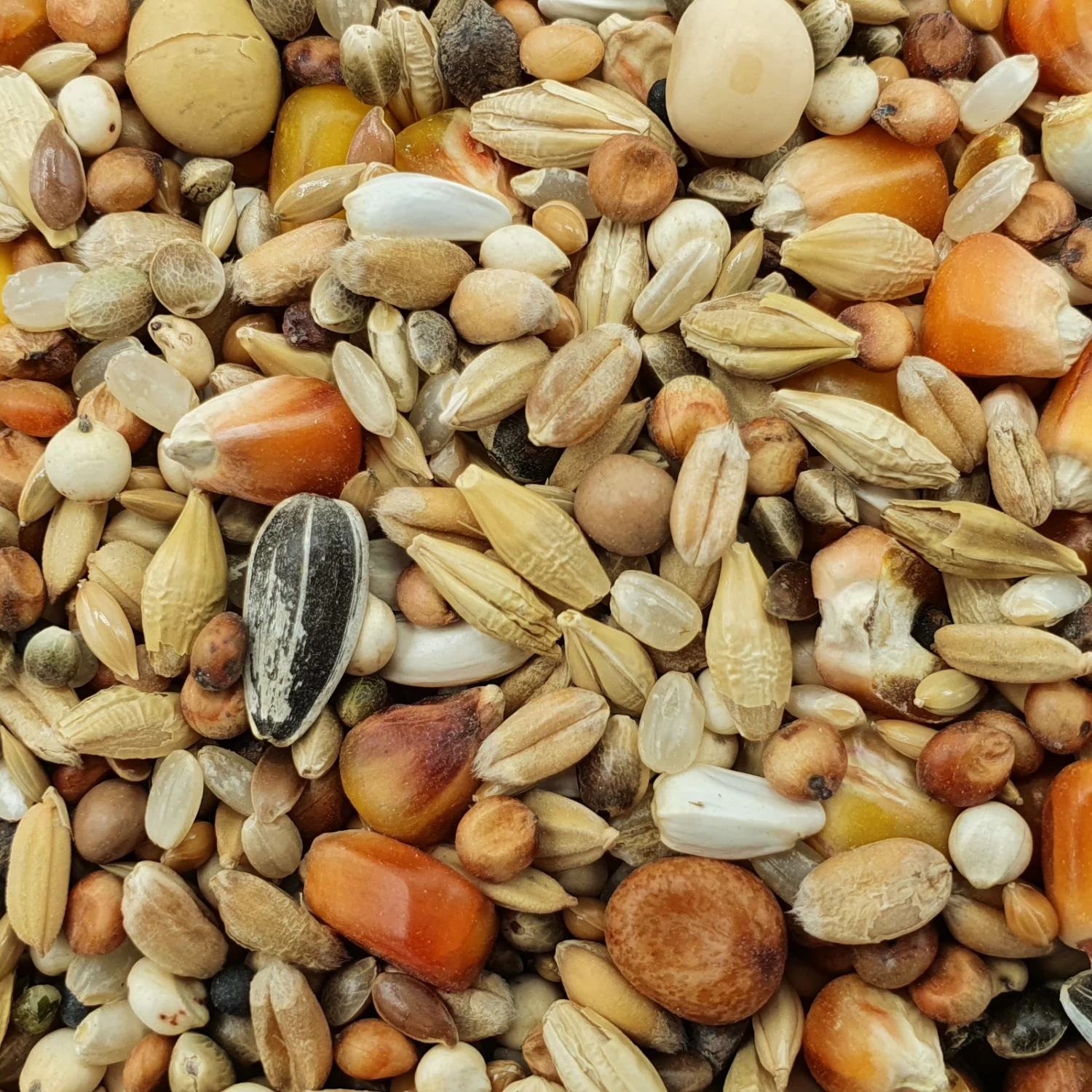 Matador Jungtauben H.O.T. 25kg 3 Matador Jungtauben H.O.T. 25kg