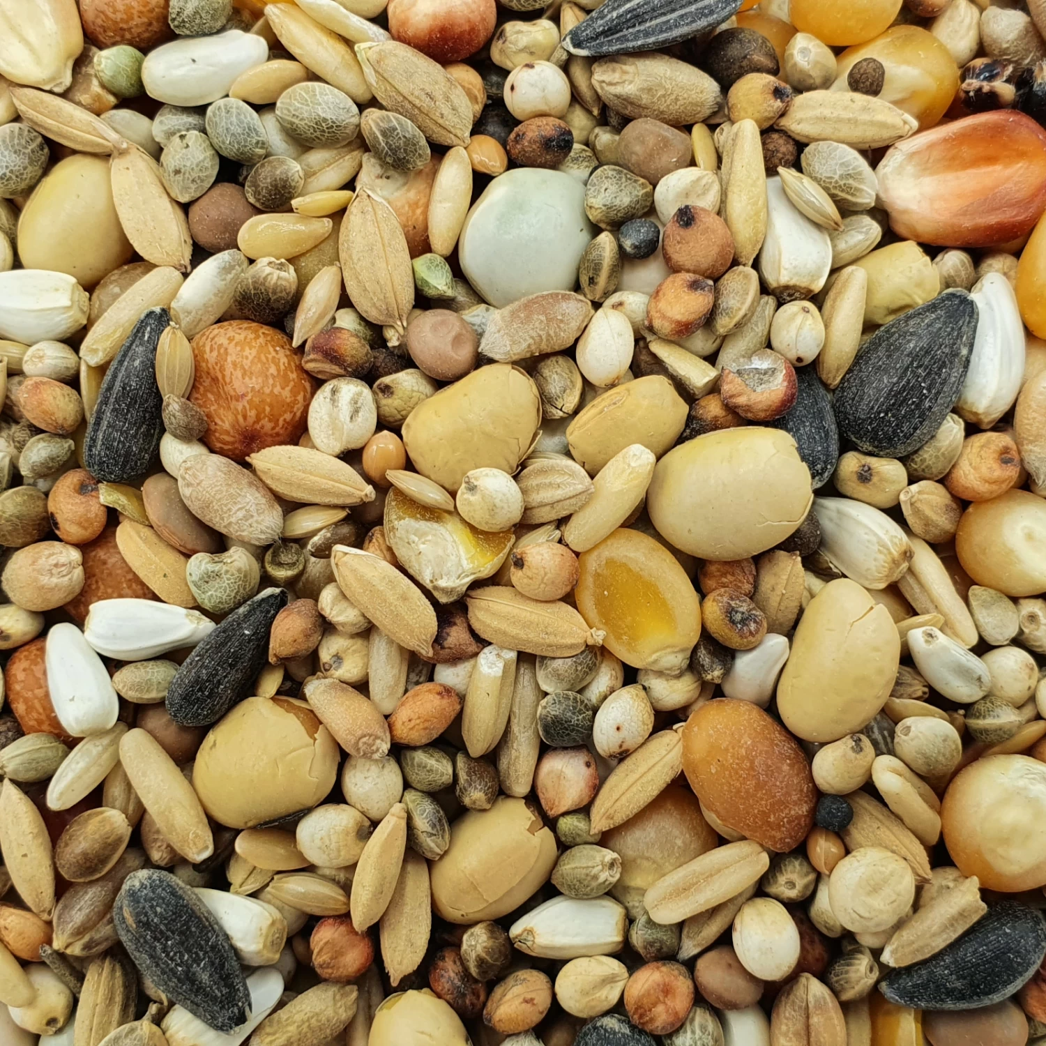 Matador Premium Zucht Extrem 20kg 3 Matador Premium Zucht Extrem 20kg