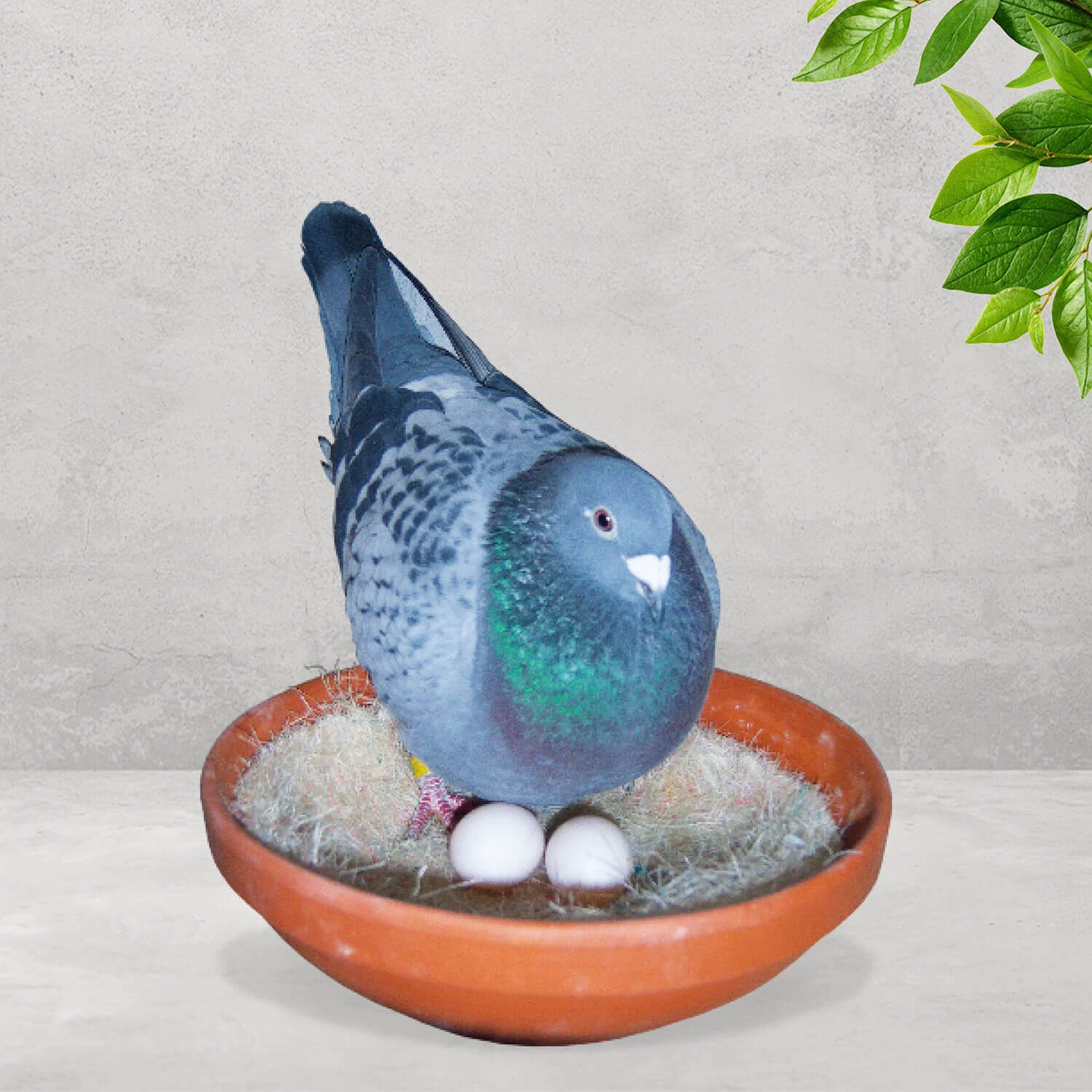 Nesteinlagen Sisal 50 Stück Ø 23cm - Teekontor 3 Nesteinlagen Sisal 50 Stück Ø 23cm - Teekontor