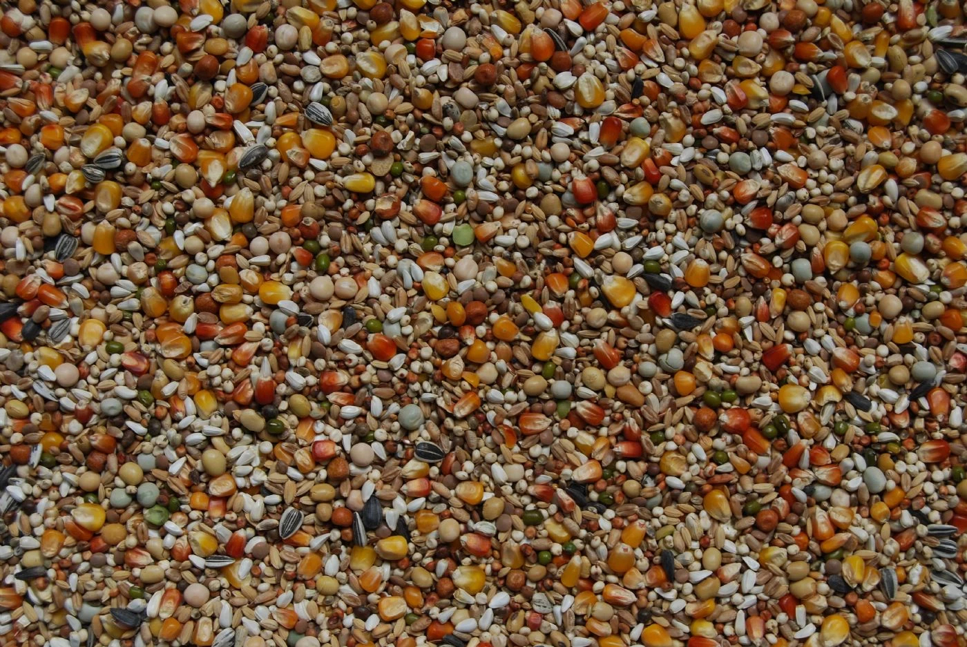 Matador Premium Reise 25kg 3 Matador Premium Reise 25kg