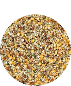 Versele Reise Active Life 25kg