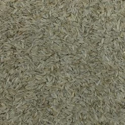 Salatsaat - Gladen 2,5kg