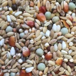 Spinne Sander Reise Leicht 25kg