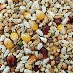 Spinne Jungtauben Forte 25kg