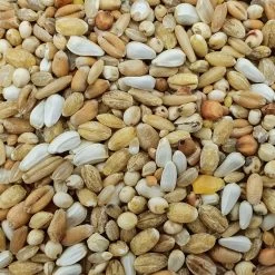 Spinne Leichte Kost 25kg