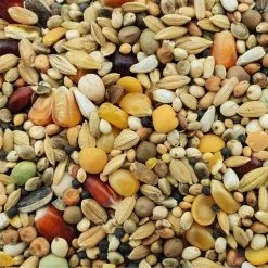 Spinne Stieneker Power 25kg