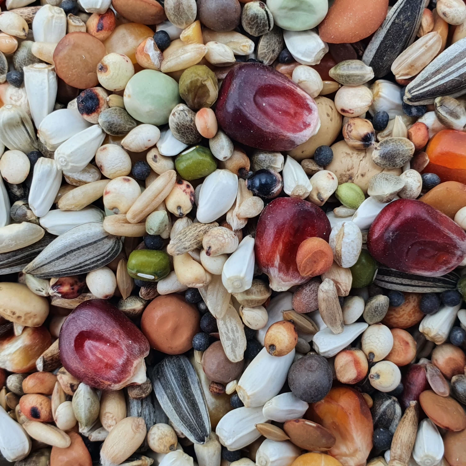 Vanrobaeys Nr.186 Mauser Premium Power 20kg 3 Vanrobaeys Nr.186 Mauser Premium Power 20kg